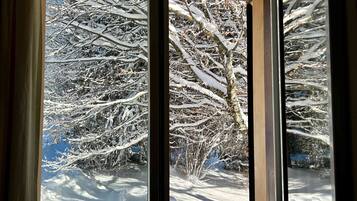 2 bedrooms, Internet