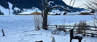 Le Petite Chalet in Rougemont