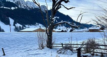 Le Petite Chalet in Rougemont