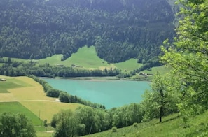 Ein See, umgeben von üppigen grünen Hügeln und dichtem Wald.
