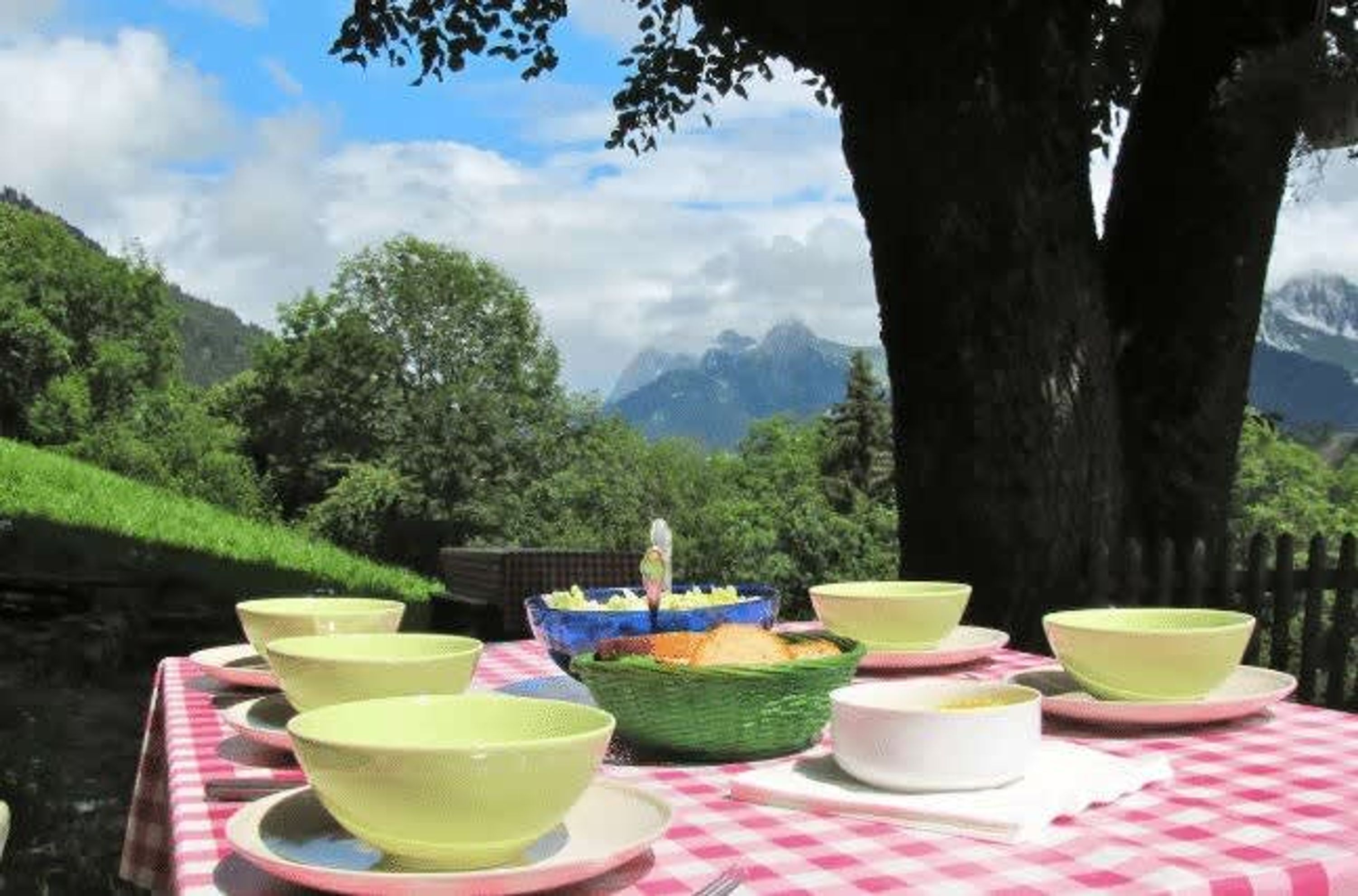 Een picknickopstelling met kommen en een mandje op een geruit tafelkleed, omringd door een schilderachtig berglandschap.
