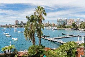 A marina with boats docked, a city skyline in the background, and palm trees in the foreground.