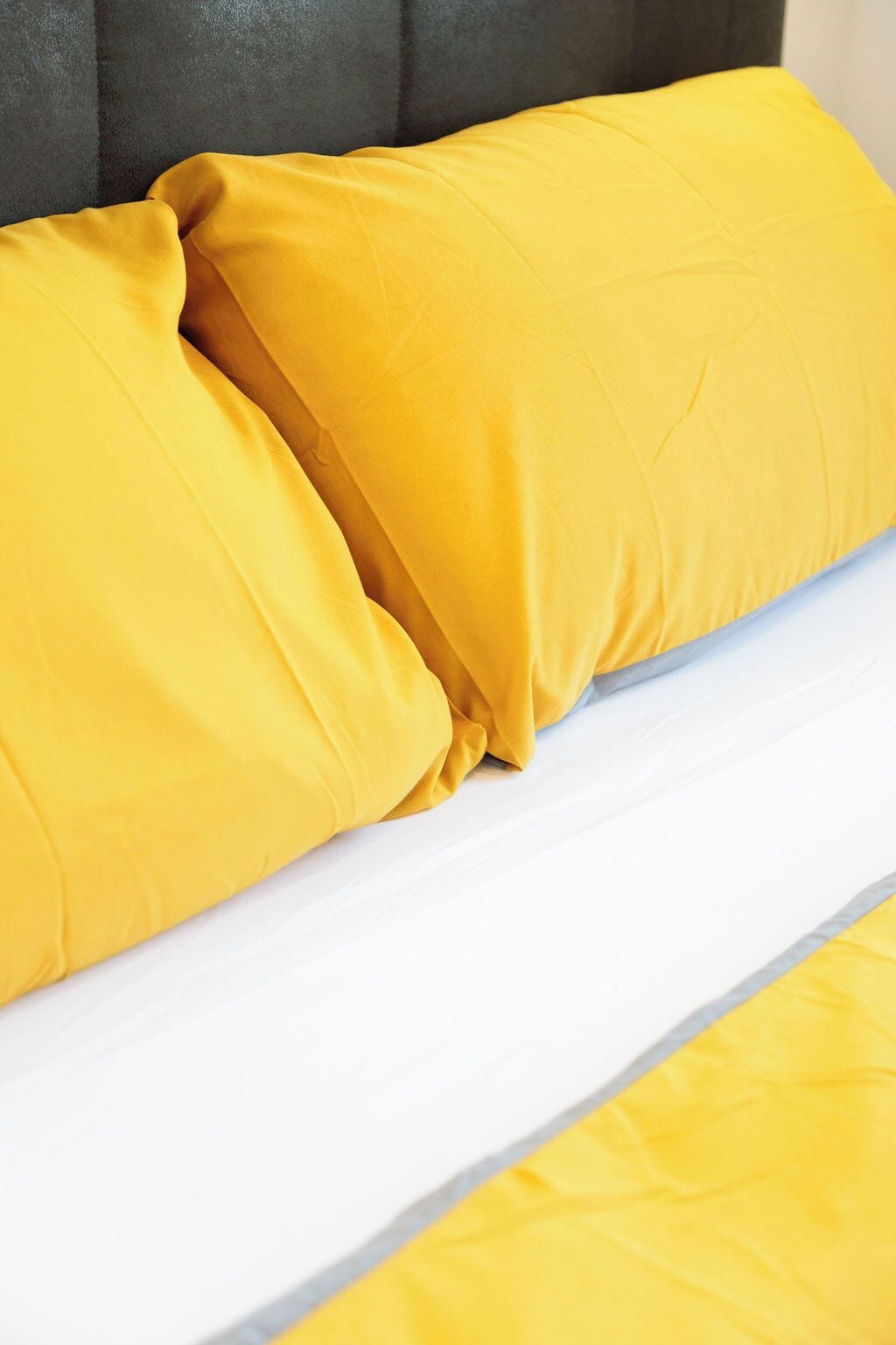 Deluxe-Apartment, Gartenblick