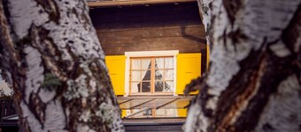 Chalet Bouton D Or in La Tzoumaz