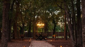 Un espace boisé avec une table et des chaises au centre, entouré d’arbres et bordé d’un chemin de gravier.