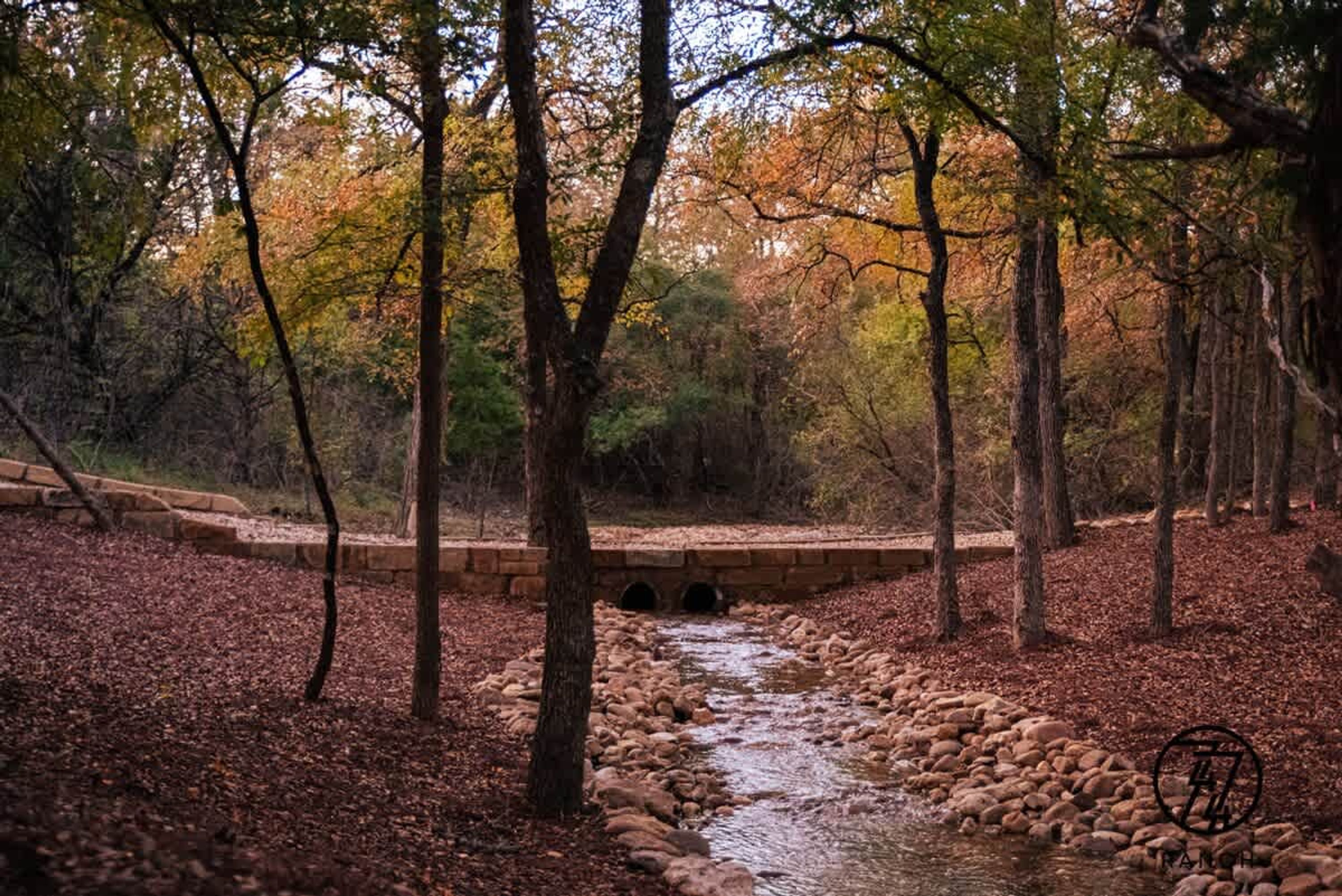 A stone bridge over a stream in a forested area with trees and fallen leaves.