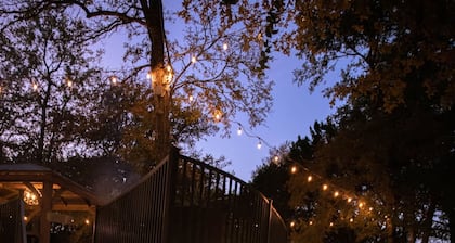 The Aspen Unit in Austin
