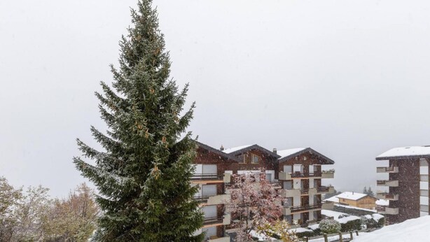 A snow-covered building with multiple balconies and a large evergreen tree in the foreground. - Nevada 205 4 pax Central Apartment Garage (Riddes)