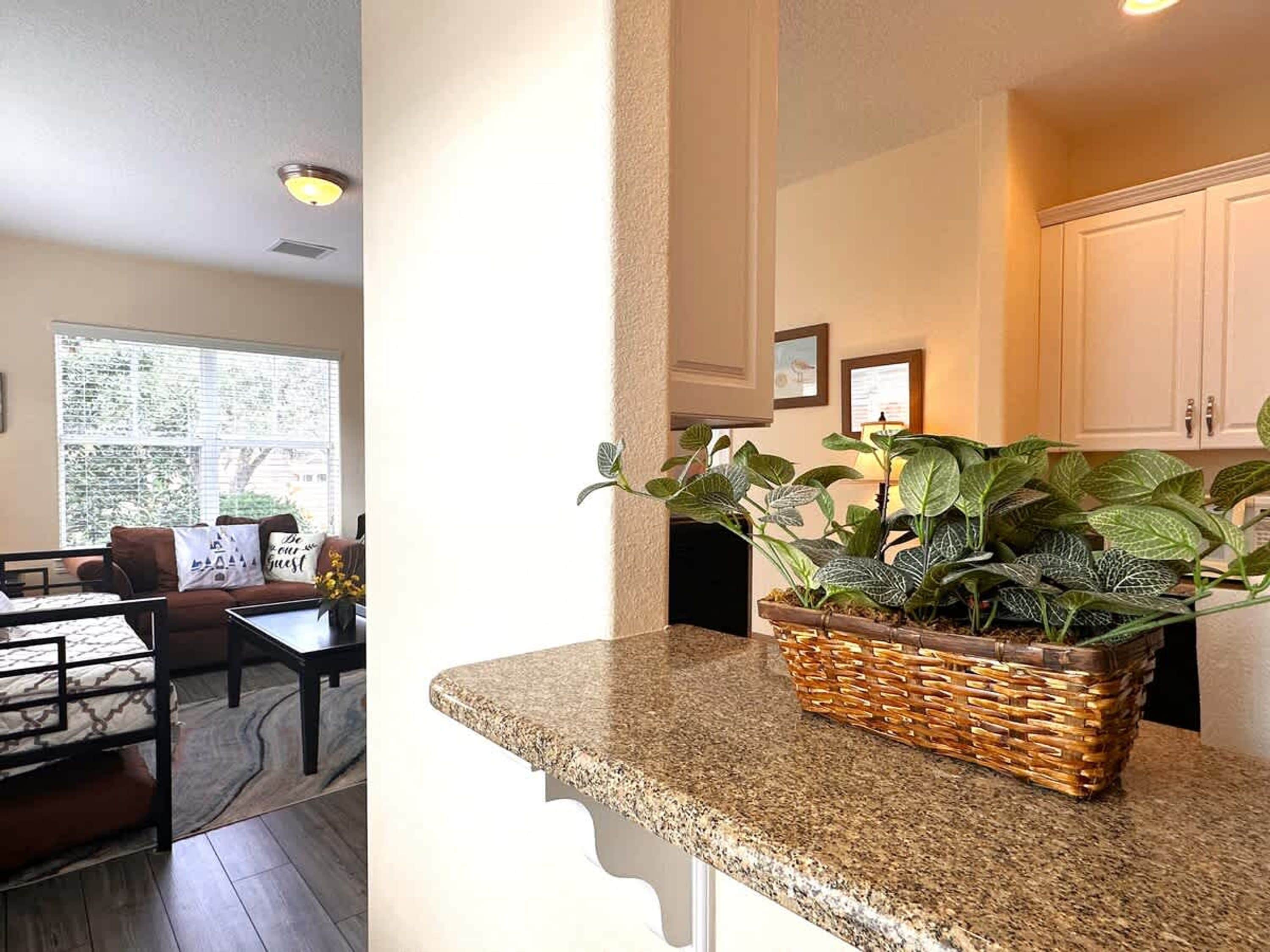 House | 1 bedroom, Internet