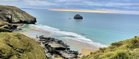 獨棟房屋 | 1 間臥室