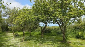 A natural landscape with trees and a grassy area. - The Stables in Crackington Haven (Bude)