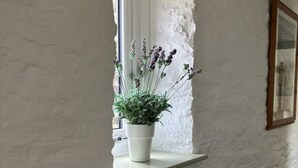 A white textured wall with a small shelf holding a potted plant. - The Stables in Crackington Haven (Bude)