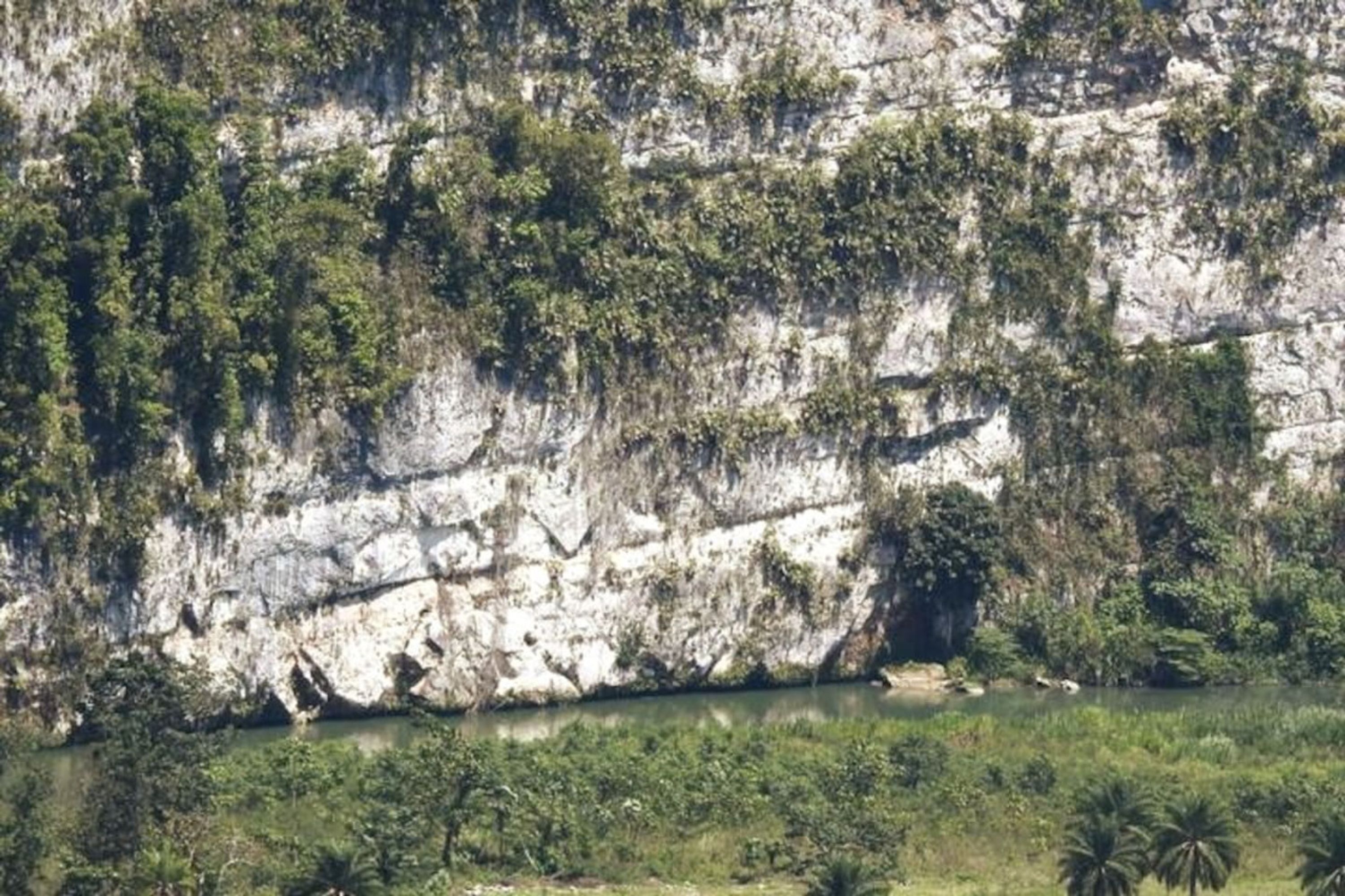 Eine natürliche Landschaft mit einer Klippe und einem Fluss.