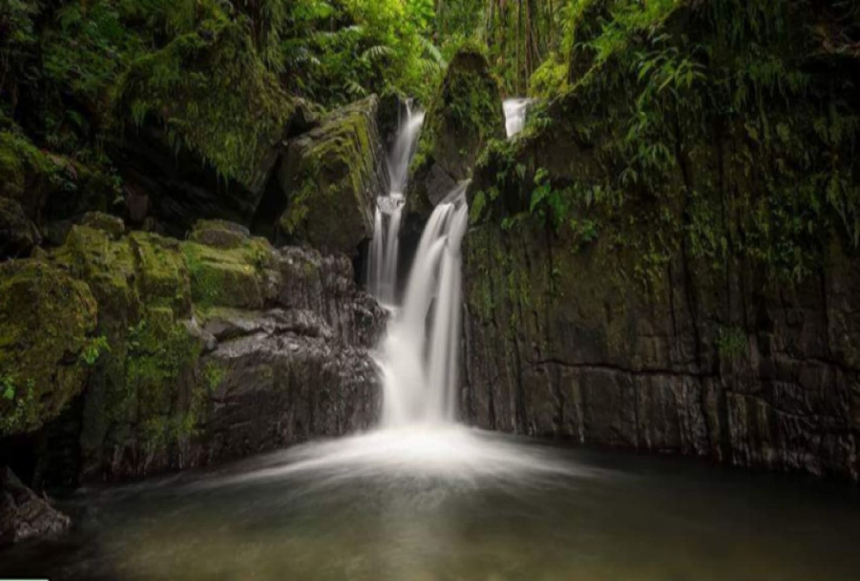 Ein Wasserfall in einer bewaldeten Gegend mit moosbewachsenen Felsen und dichtem Grün.