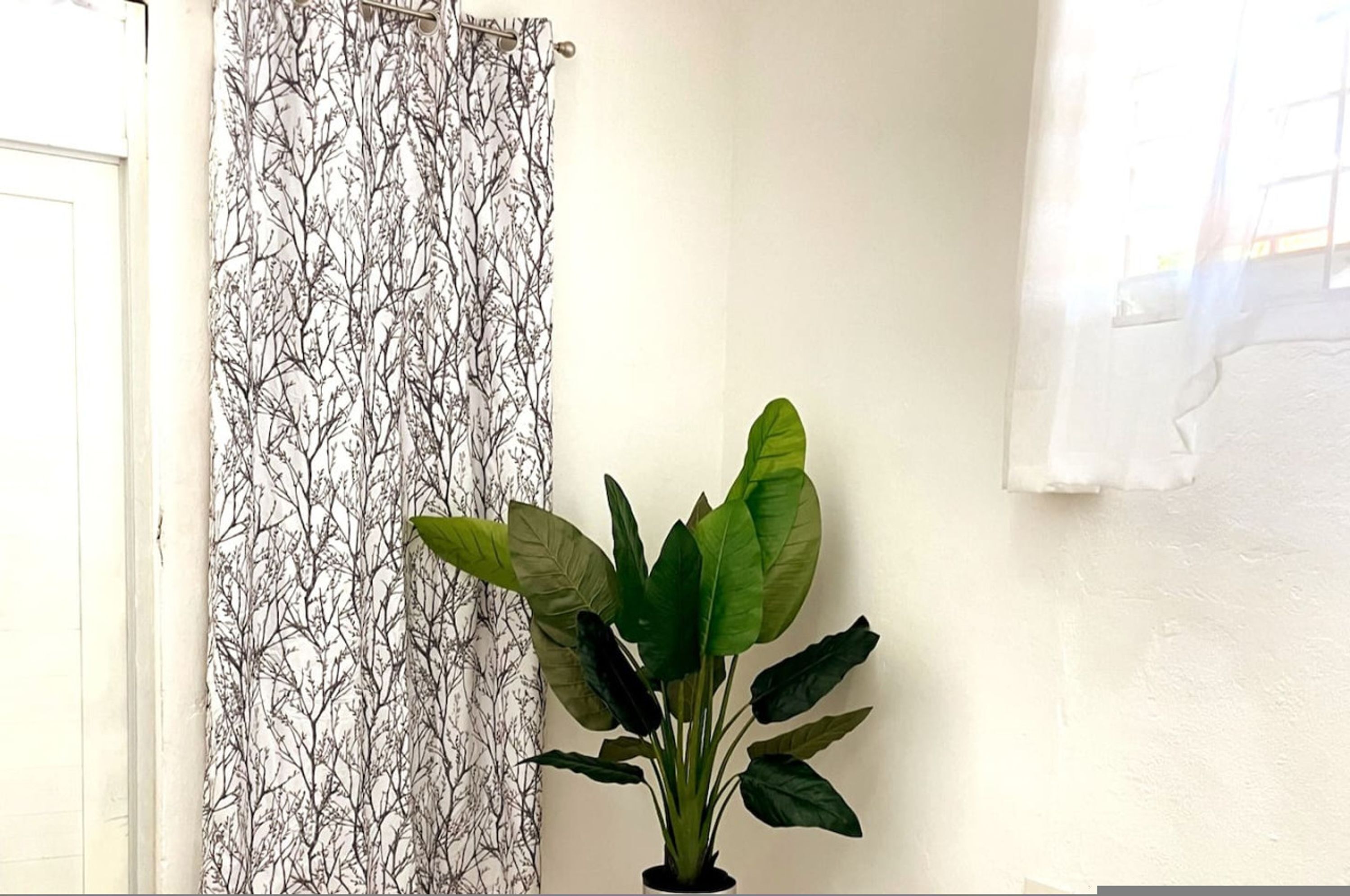 A room with a white door, a patterned curtain, and a potted plant.