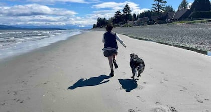 Slow-go Log Cabin in the Woods w Cozy Woodstove