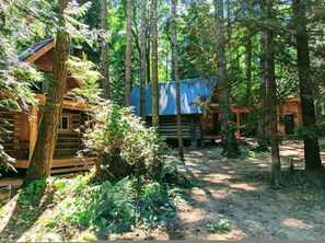 Estudio | 1 habitación 