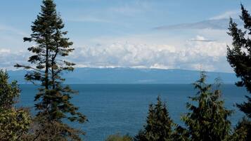 Apartemen | 1 kamar tidur