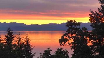 Apartemen | 1 kamar tidur