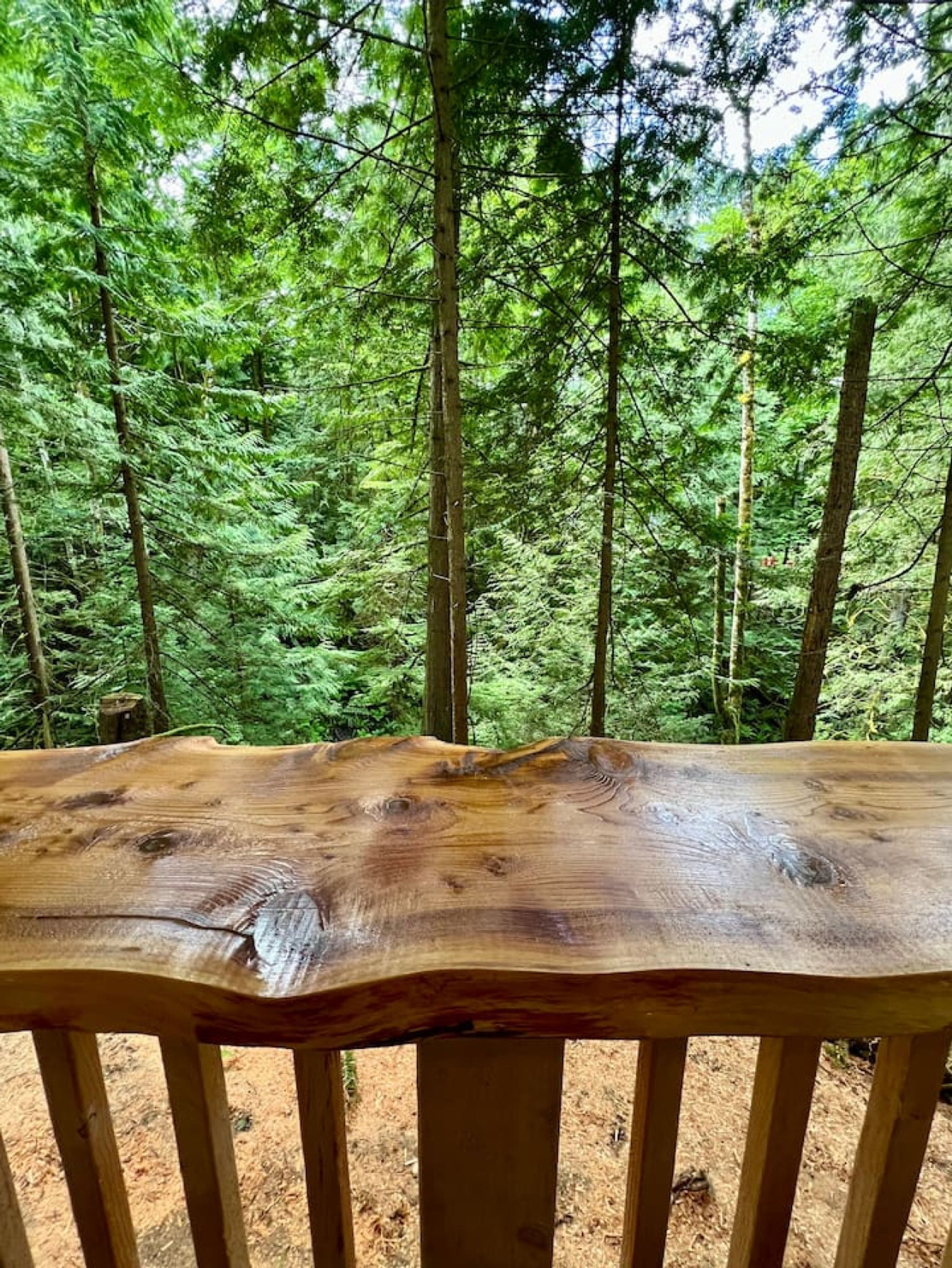 Studio | 1 kamar tidur