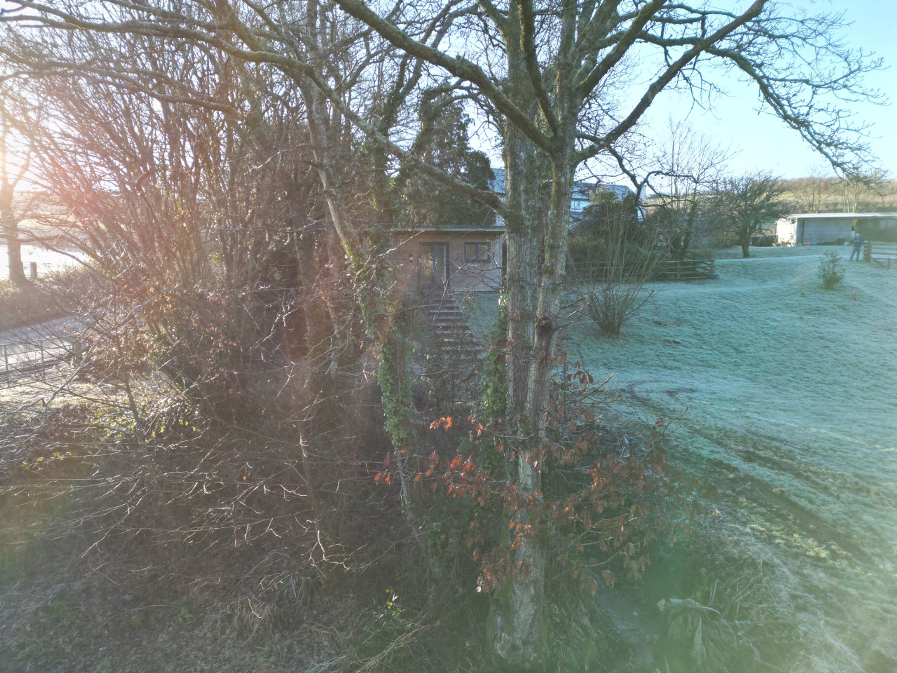 A building with a small entrance, surrounded by trees and a grassy area.