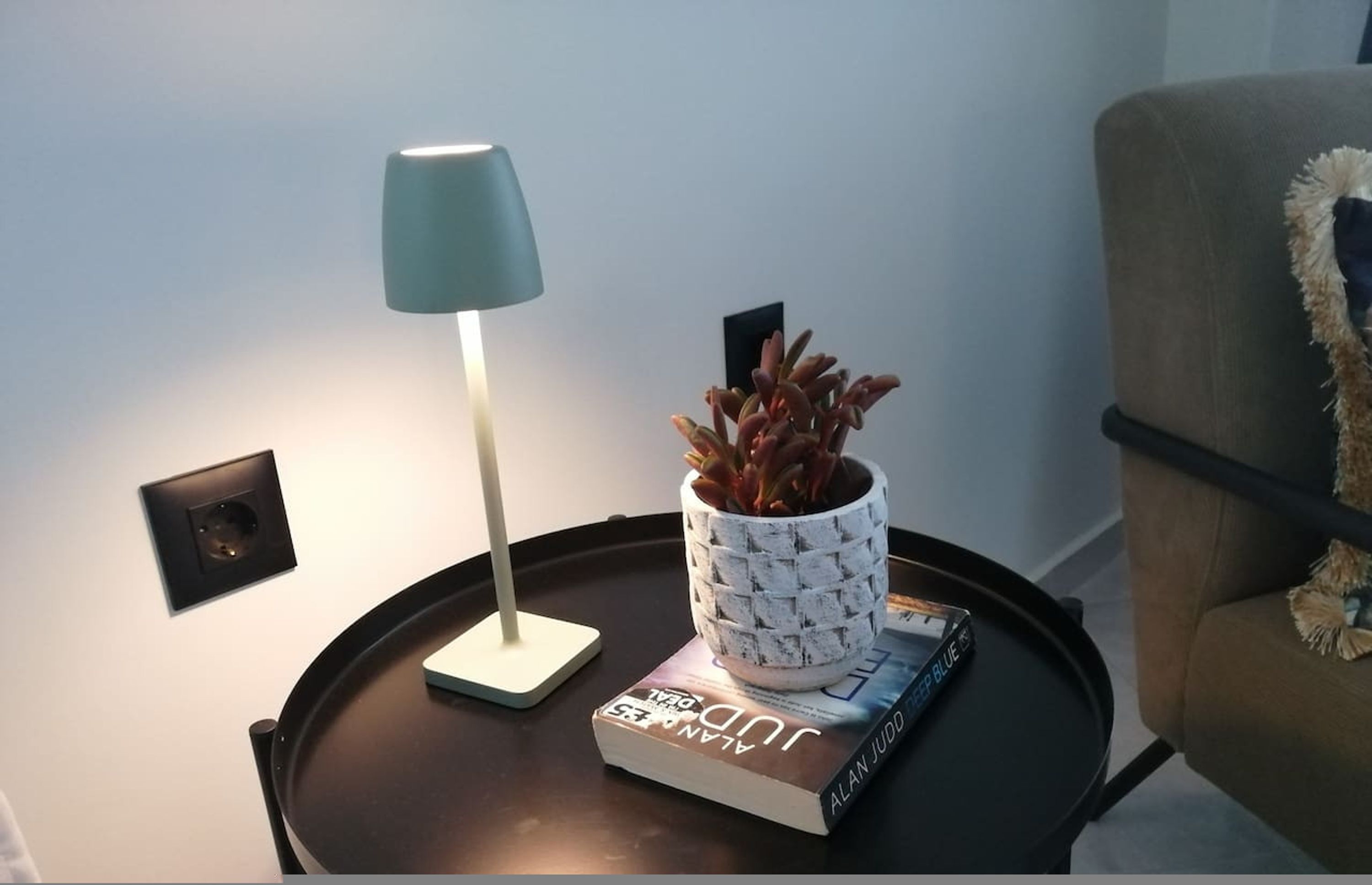 A side table with a lamp, a potted plant, and a book.