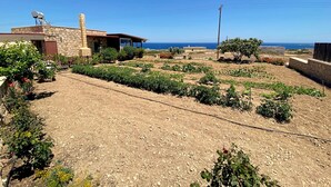 Une maison en pierre avec une antenne parabolique, un jardin avec différentes espèces de plantes et une vue sur la mer.