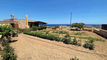 Appartement | 1 chambre