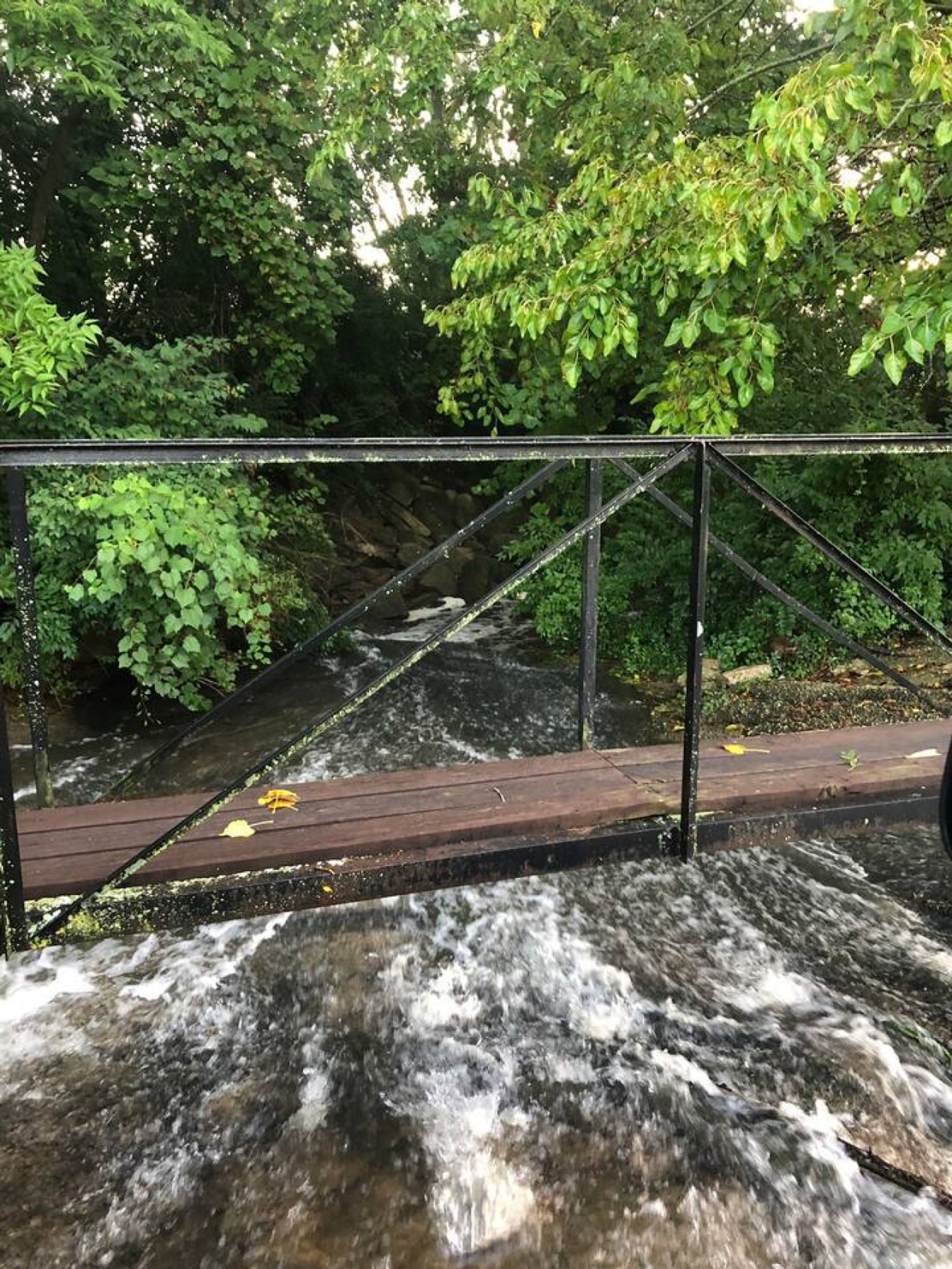 A wooden bridge over a flowing river with metal railings, surrounded by dense green foliage.