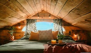 Studio | 3 bedrooms