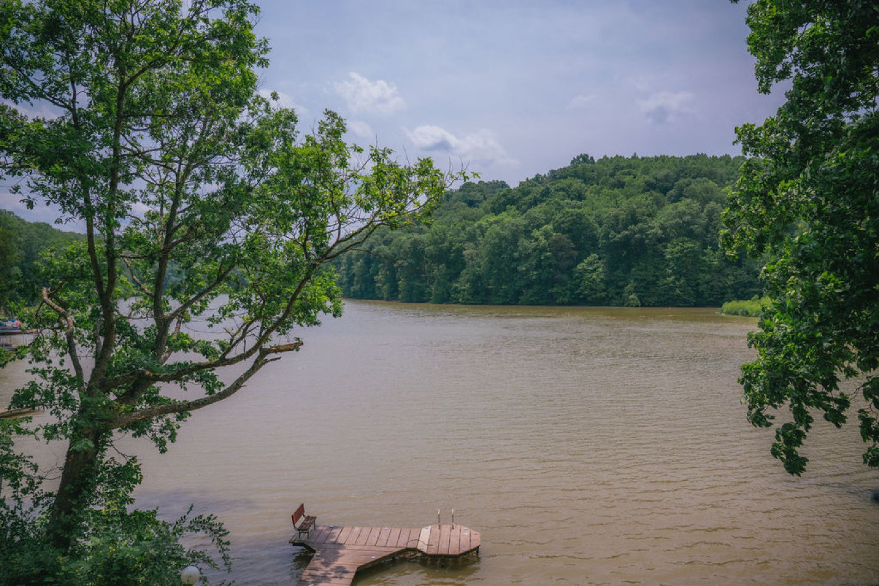 A wooden dock extending into a calm lake surrounded by dense forest.