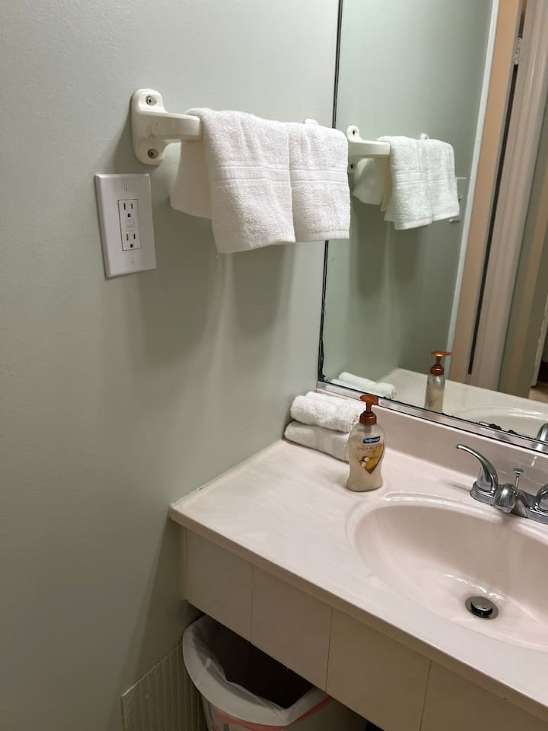 A bathroom with a white sink, a mirror, a towel rack with two towels, a bottle of hand soap, and a trash bin.