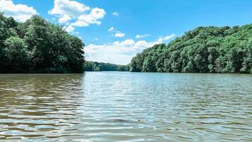 A river with dense forest on both sides.