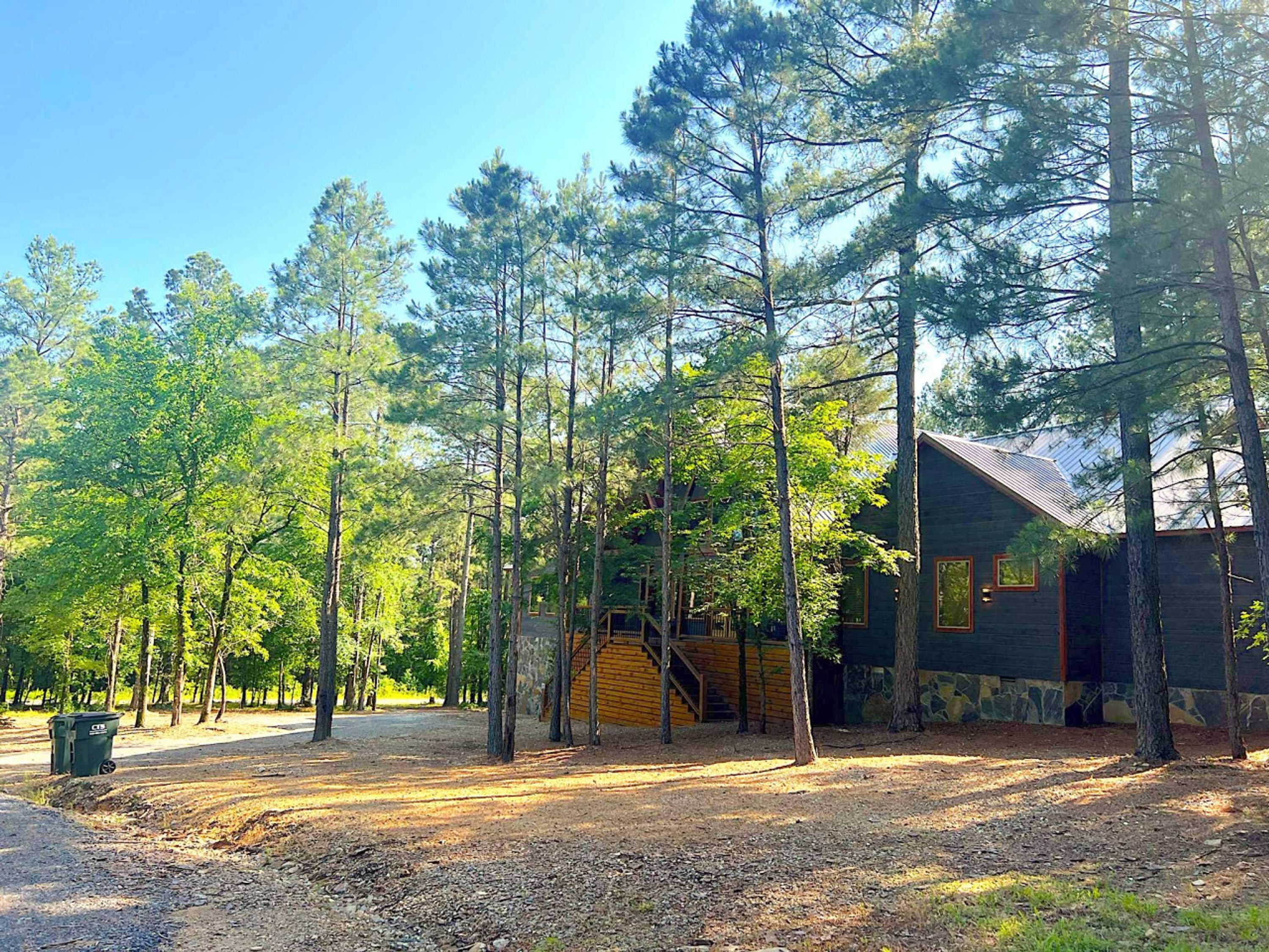 A cabin surrounded by tall pine trees, with a dirt path leading to it.
