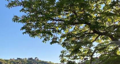 Villa Montebella in Montepulciano