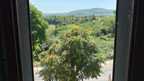 A view through a window of a lush landscape with trees and hills. - Tuscan Palace - Petit Apartment (Montepulciano)