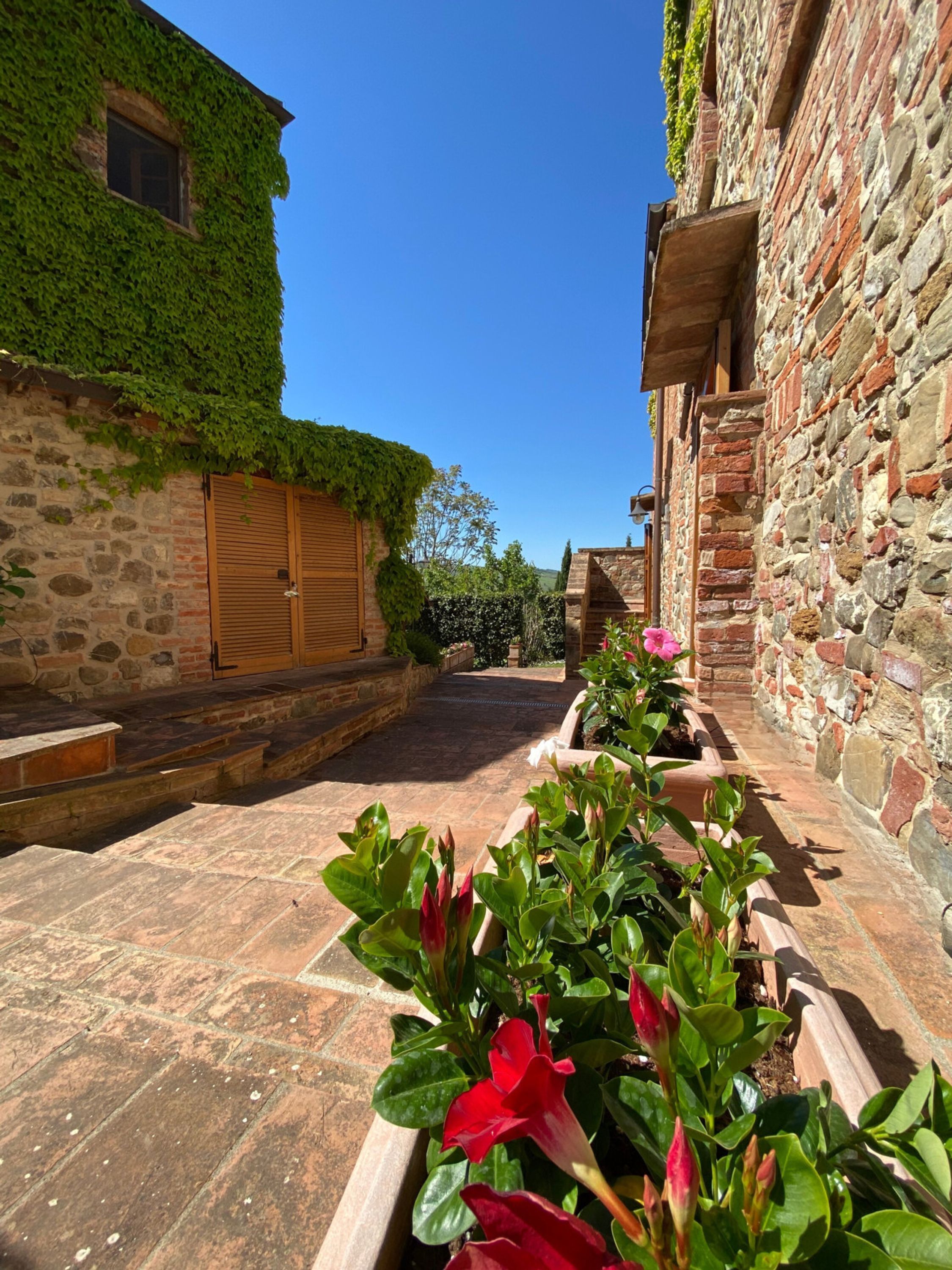 A narrow stone pathway flanked by buildings with ivy-covered walls and wooden shutters.