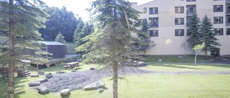 Un bâtiment doté de nombreuses fenêtres et d’une cour verdoyante agrémentée d’arbres et de rochers.