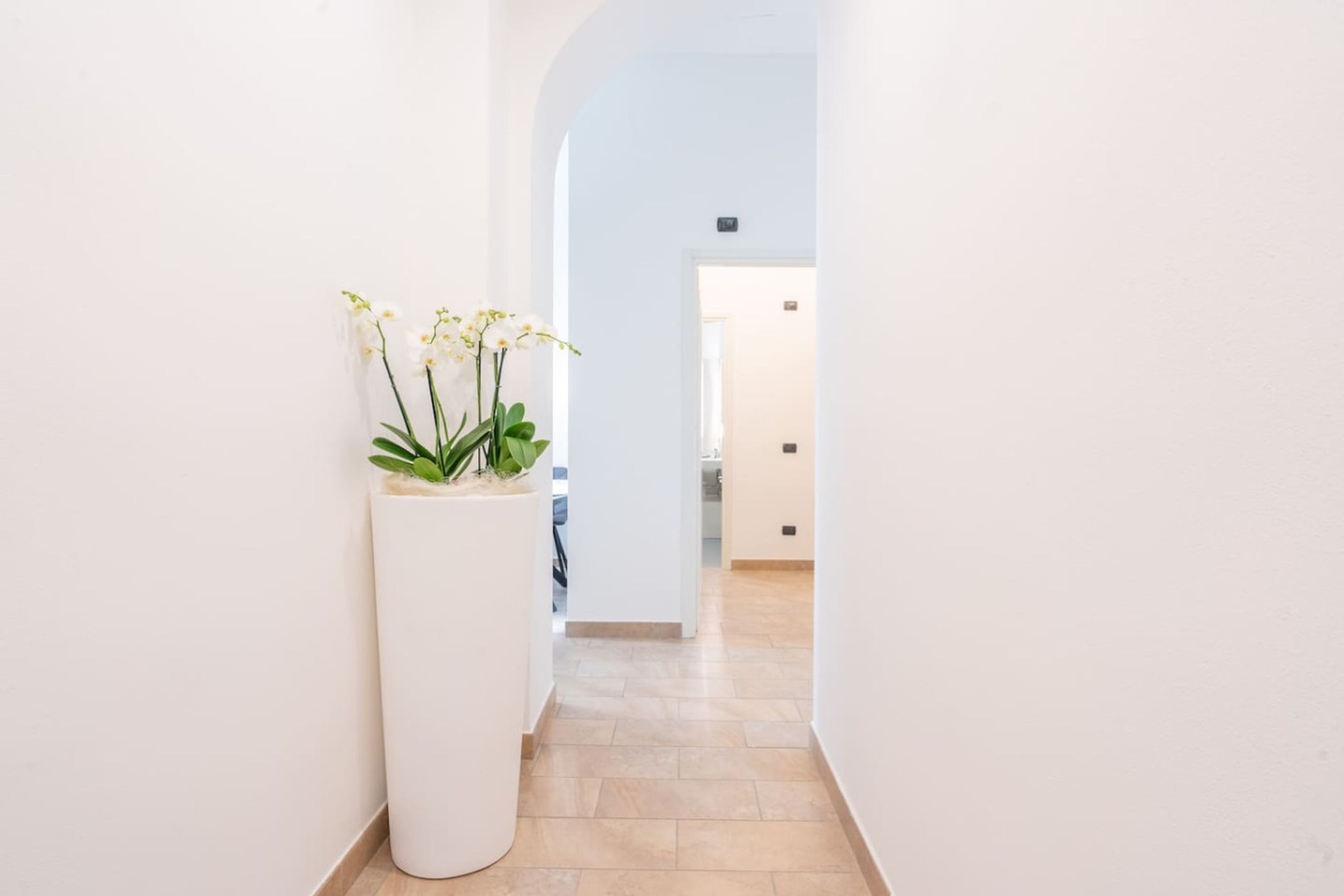 Un pasillo con una planta blanca en maceta y una pared azul claro.