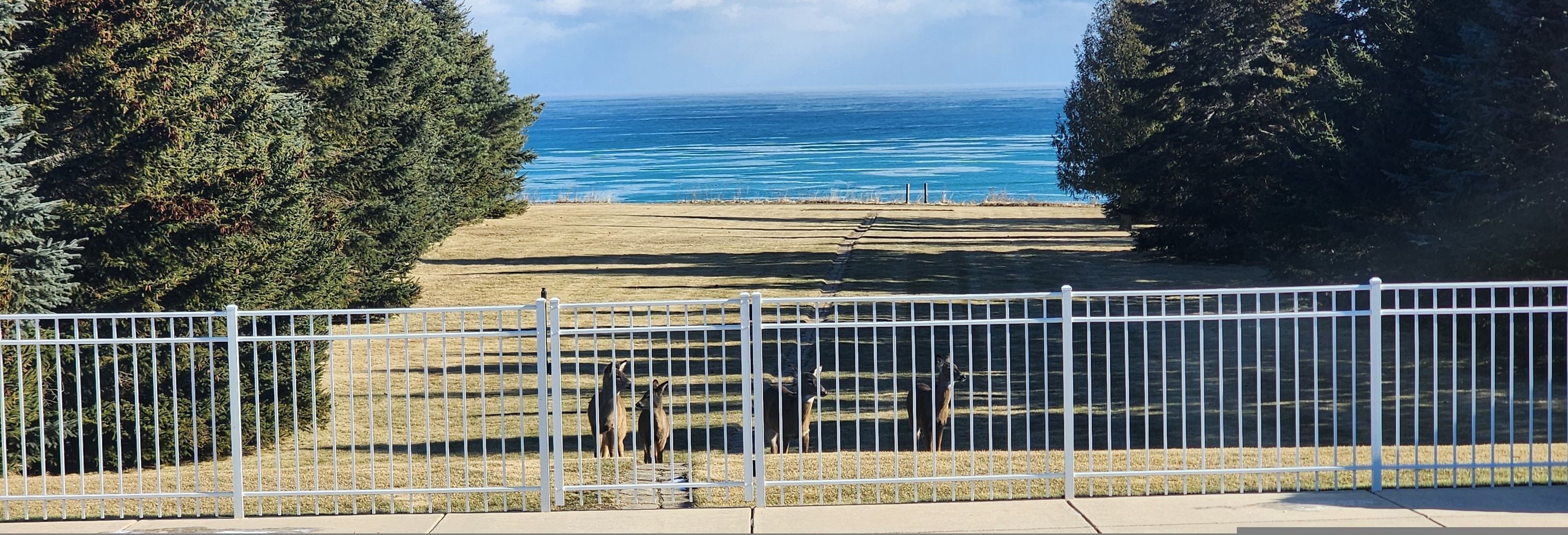 House | 5 bilik tidur 