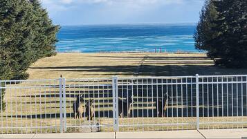 House | 5 bilik tidur