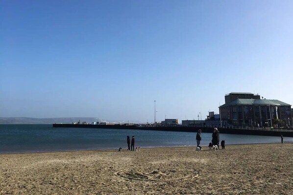 A beach with people and dogs near the water, a pier, and a building with a green roof.