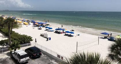 The Mermaid and the Sea Turtle