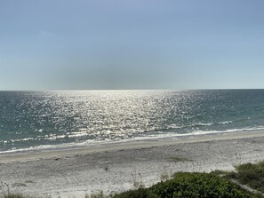 House - The Mermaid and the Sea Turtle (Largo)