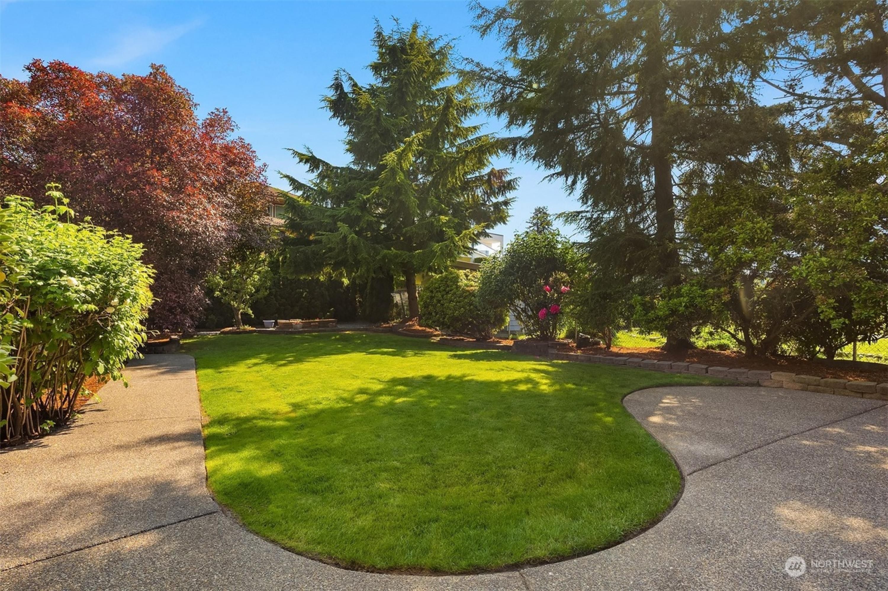 A well-maintained lawn with a curved pathway and mature trees, including a large coniferous tree and a bush with red leaves.
