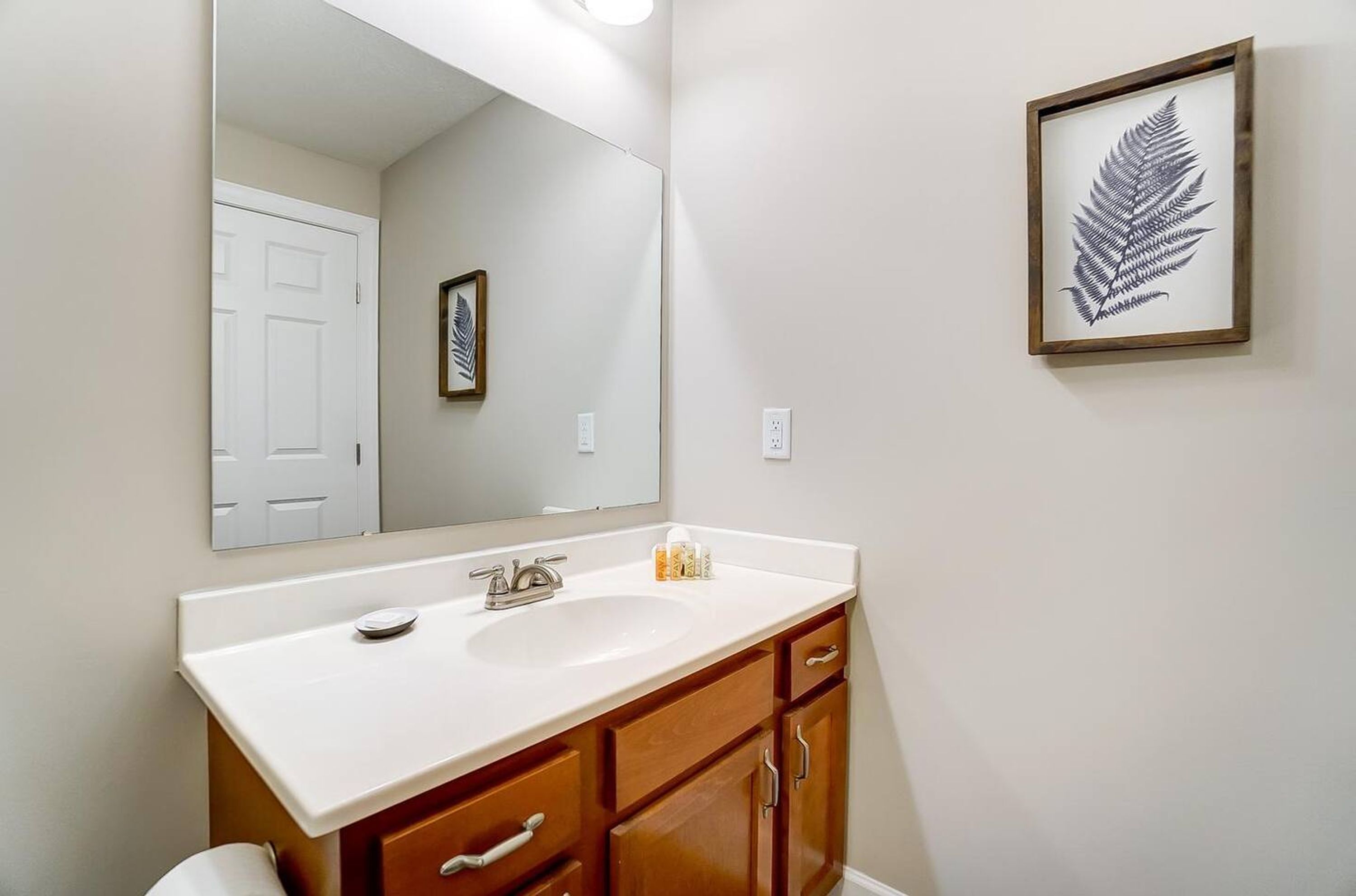A bathroom with a white sink, wooden cabinets, a large mirror, and a framed fern artwork on the wall.
