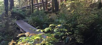 The Great Escape - Port Renfrew
