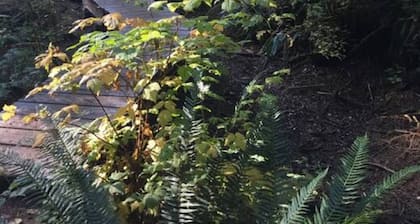 The Great Escape - Port Renfrew