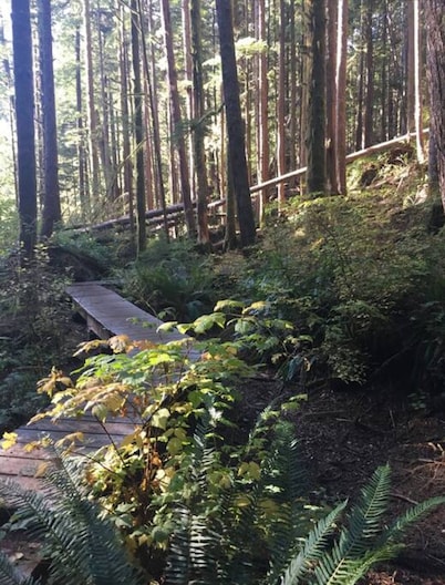 The Great Escape - Port Renfrew