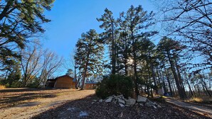 Une zone boisée avec un chalet, un ciel dégagé et un sentier de terre.